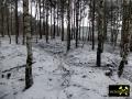 Steinbruch am Finkenberg bei Babben nahe Calau, Brandenburg, (D) (13) 24. Januar 2015 Aufschluß im anstehenden Raseneisenstein.JPG